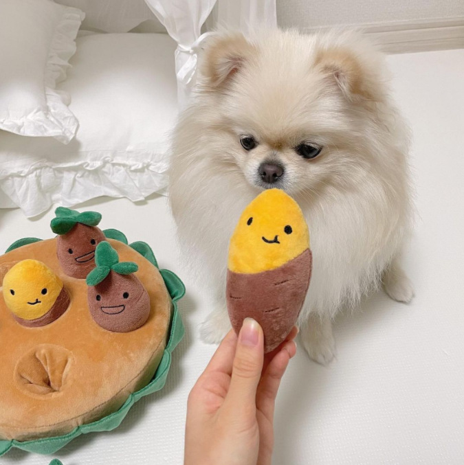 Conjunto de Juguetes para Mascotas con Patatas Dulces y Arroz — imagen 2