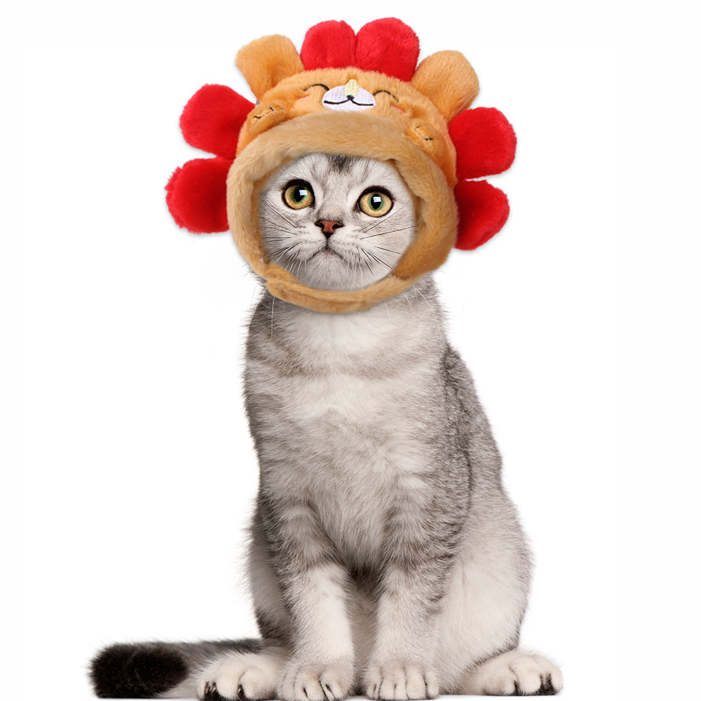 Cute Hedgehog Pattern Pet Head Cover Windproof Outdoor Decorative Mask for Cats and Small Dogs — image 1