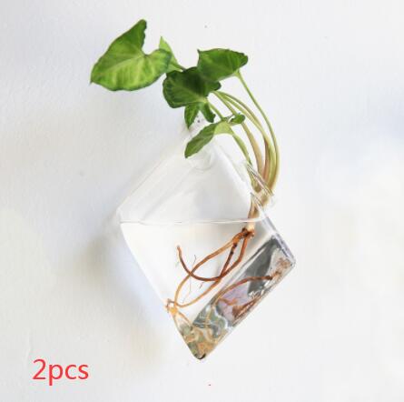 Vaso de Vidrio para Terrario Decorativo en Línea - Jardín Acuático para Hogar — imagen 11