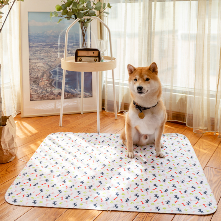 Pet Diaper Pad Reusable Washable Dog Diaper Pad Absorbent Non-Slip Diaper Pad Training Urine Pad — image 1