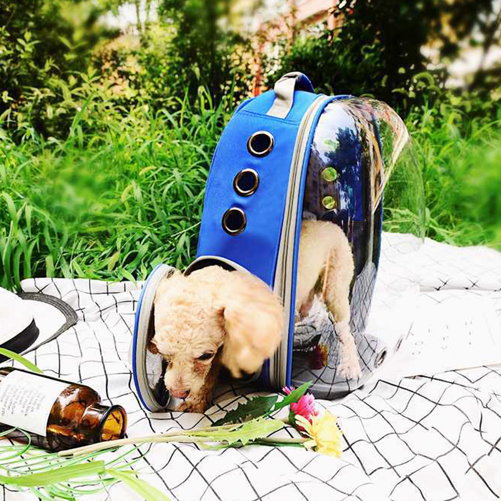 Mochila para Gatos Completa de Espacio Transparente Bolsa Portátil con Capacidad Larga — imagen 3