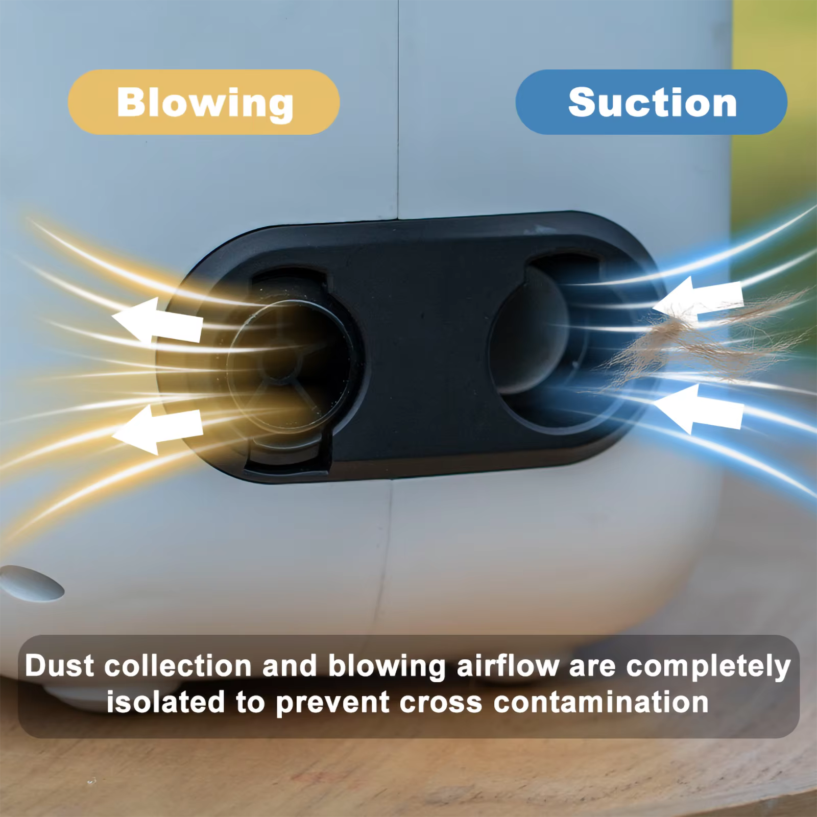 5-in-1 Pet Grooming Kit Professional Dog Hair Clipper Vacuum Dryer Low Noise Pet Grooming Trimmer Set with Multi Tools Professional Pet Grooming Vacuum Kit for Dogs Cats Hair Shedding Cleaning — image 8
