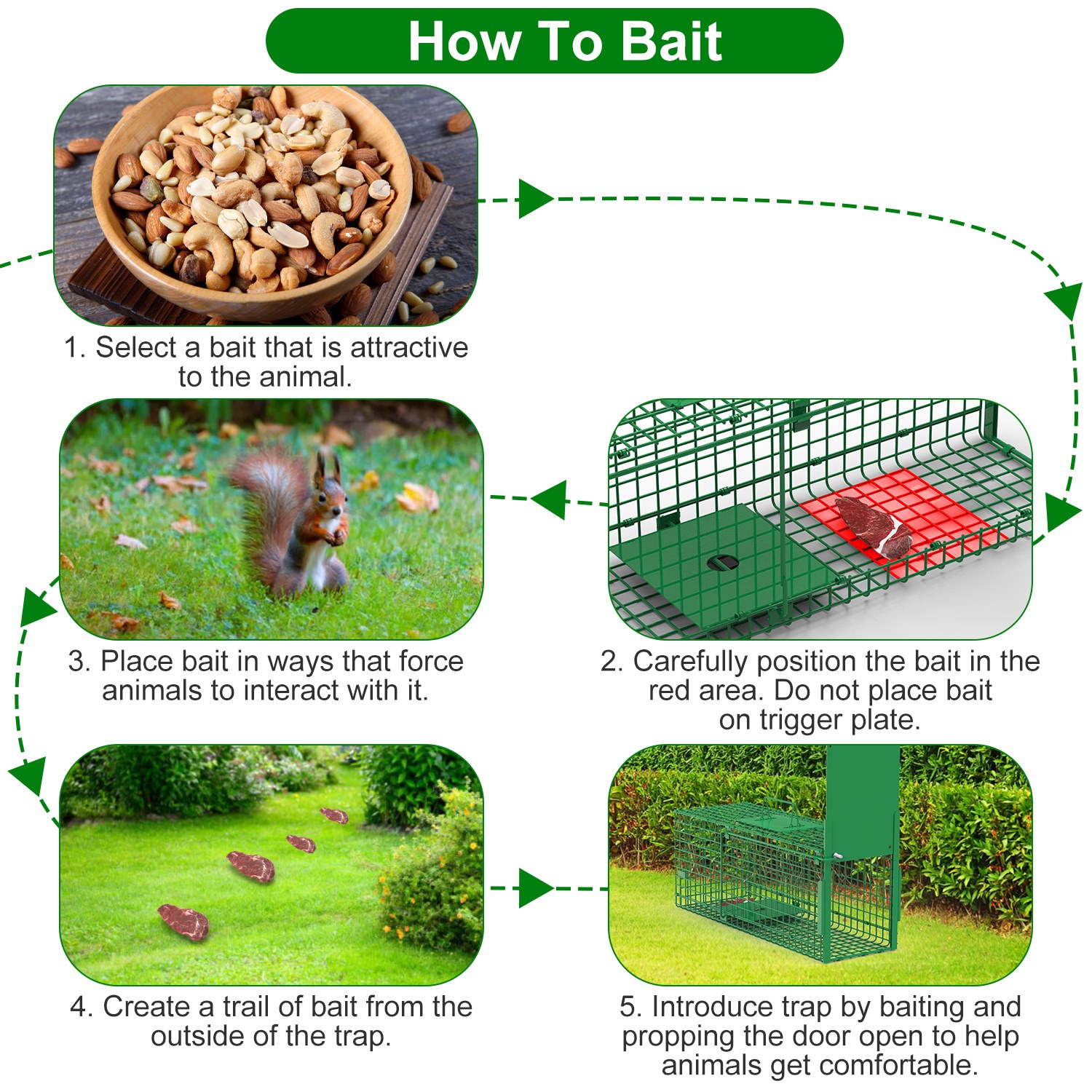 Live Animal Cage Trap For Animals Humane Galvanized Iron Trap Cage For Raccoons Armadillos Foxes Opossums Muskrats Beavers 26in 32in 40in Size Options Green — image 3