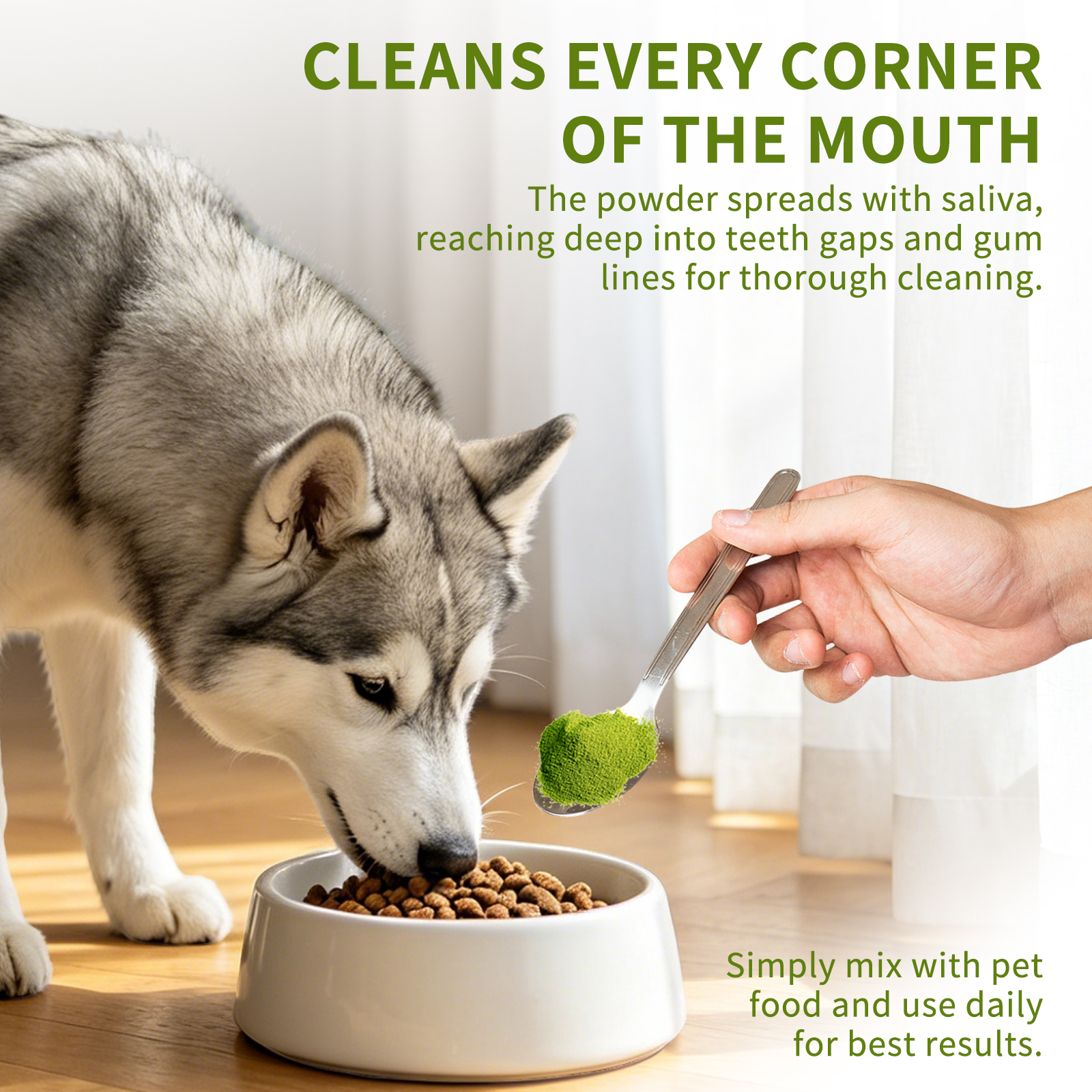 Solo Recogida en Tienda - Pasta Dental para Gatos y Perros — imagen 7