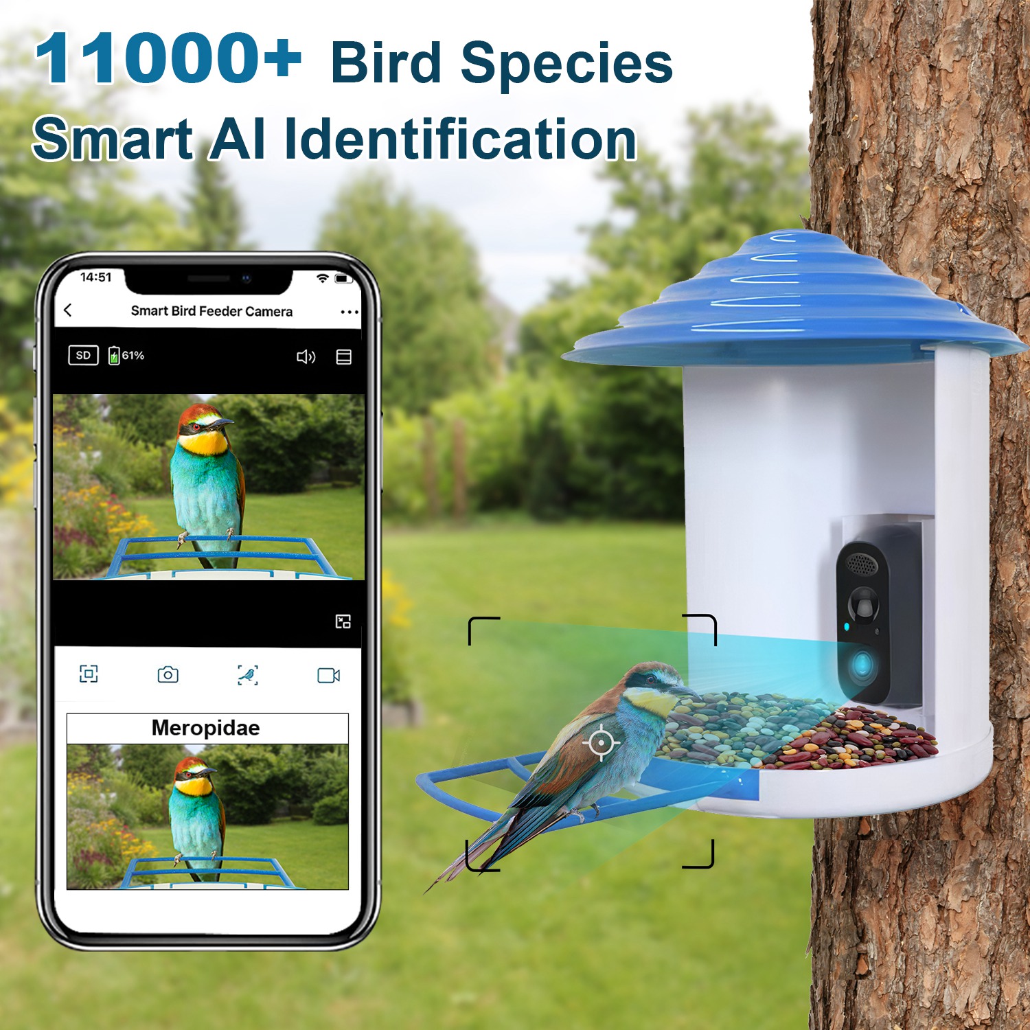 Alimentador Inteligente de Pájaros con Cámara Solar 1080p HD Reconocimiento AI de Pájaros Función de Movimiento Automático Grabación de Video Almacenamiento en la Nube Tarjeta WiFi Conexión App Control IP65 Resista a la Lluvia — imagen 5