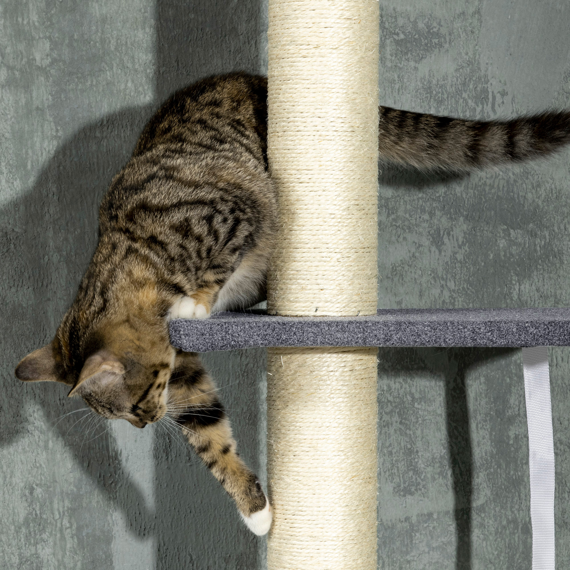 Floor To Ceiling Cat Tree, 5-Tier Cat Climbing Tower, 95-106 Height Adjustable with Carpeted Platforms, Cozy Bed, Hammock, Scratching Post & Toy Ball for Indoor Cats, Dark Gray and Cream — image 6