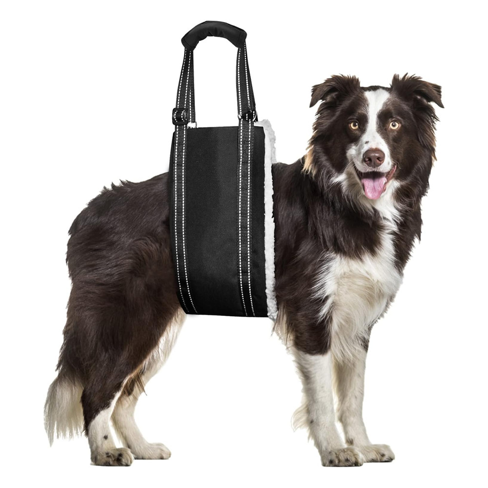 Cinturón Ajustable de Rehabilitación y Entrenamiento para Perros, Artículos para Mascotas Mayores o con Discapacidad — imagen 3
