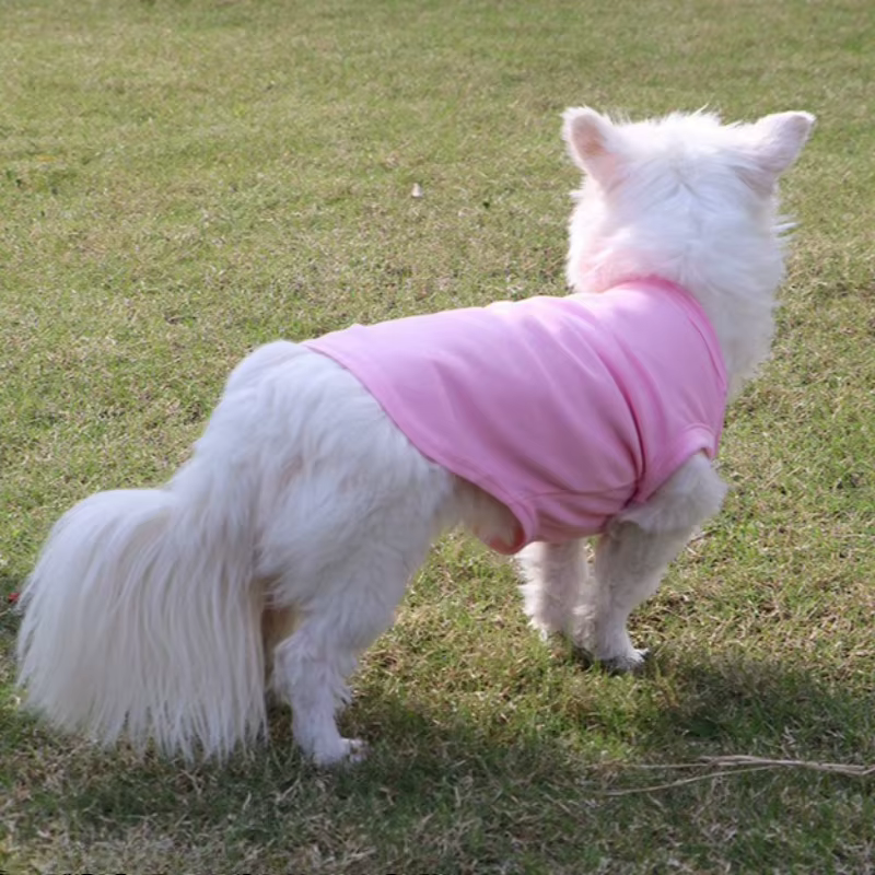 Top de baño suave y transpirable, chaleco sin mangas de verano para perros y gatos, camiseta ligera para cachorros, ropa cómoda para mascotas — imagen 6