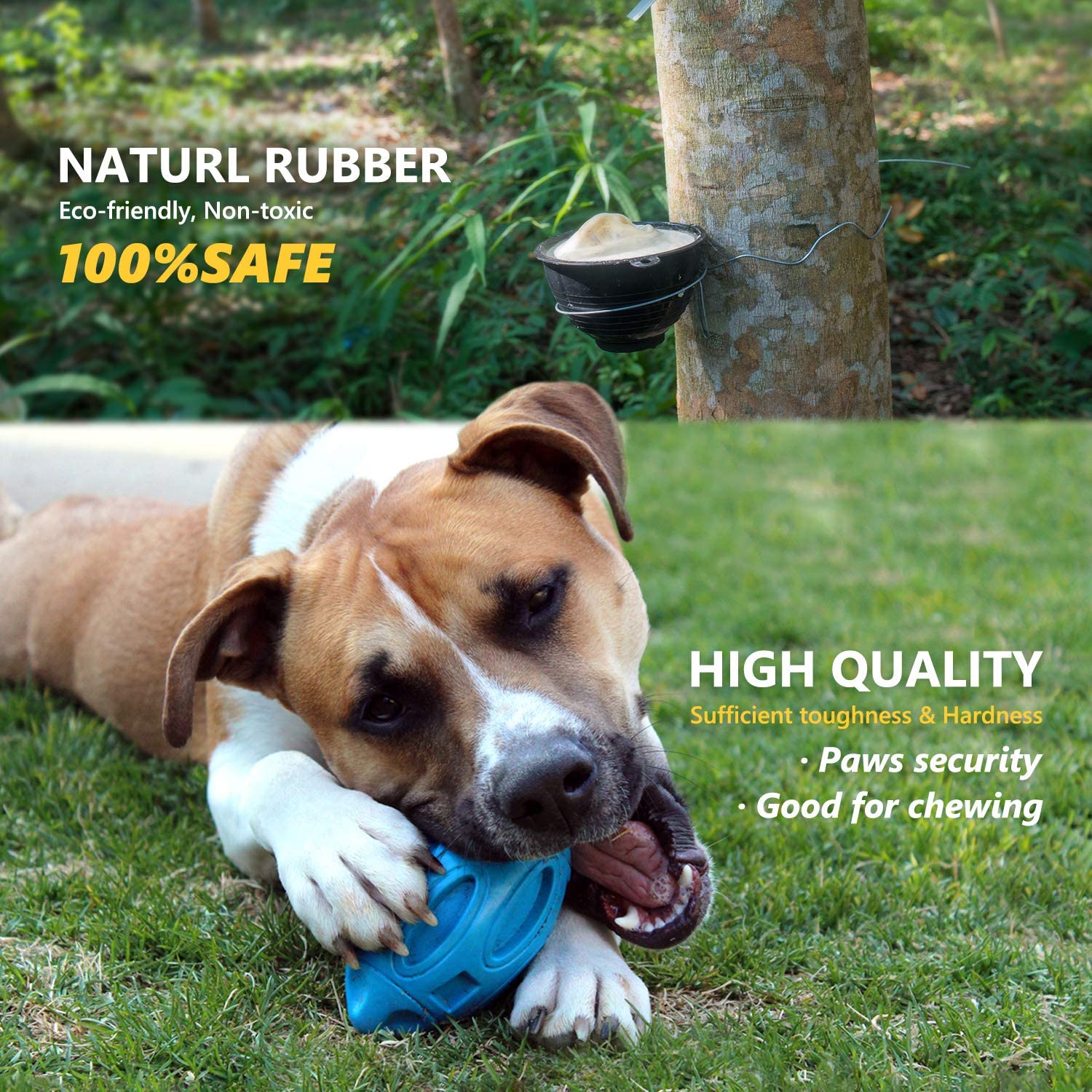 Pelotas de Sonido para Perros Hechas de Caucho Natural - Juguetes Duraderos con Soplador Interno — imagen 7