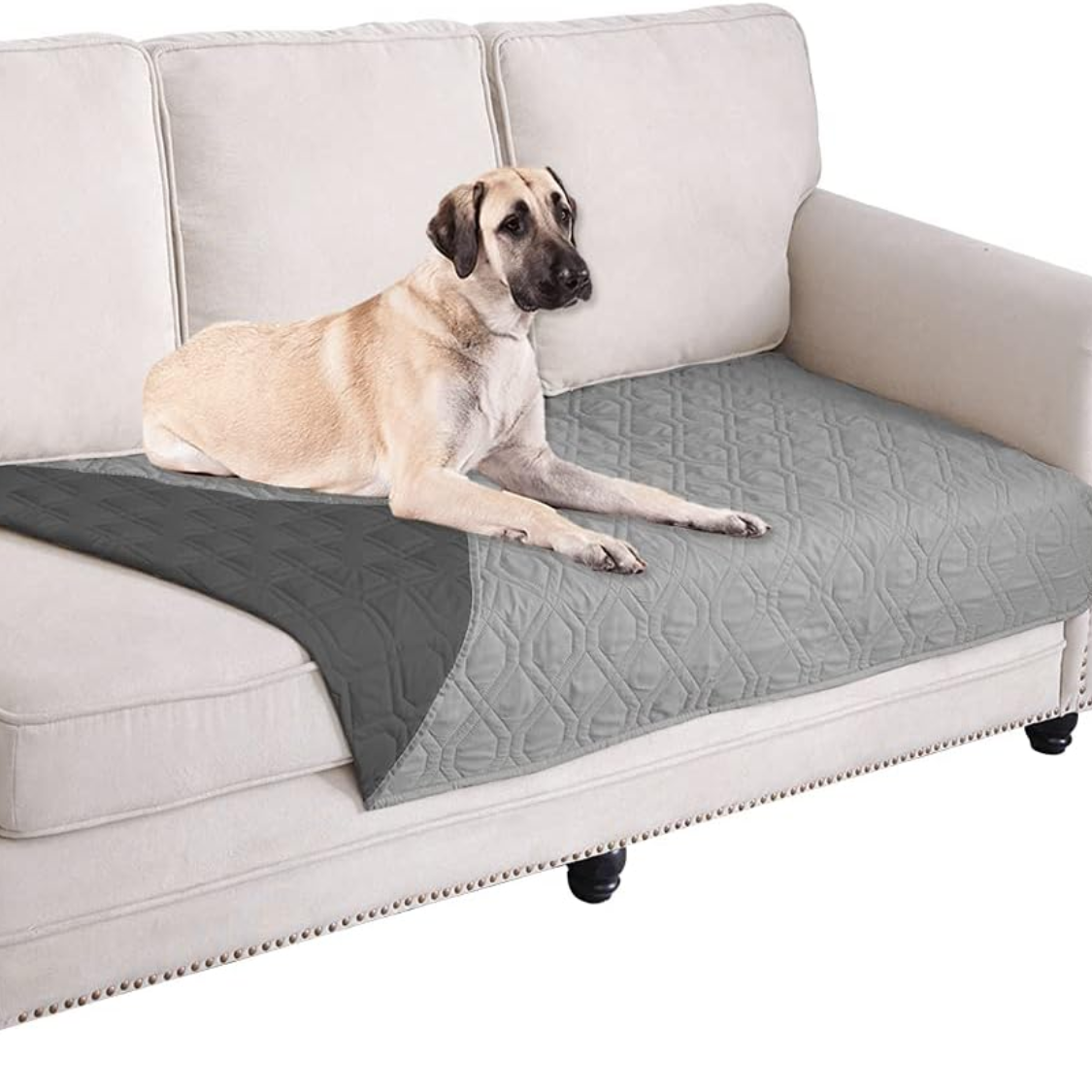 Cubierta Impermeable para Camas de Perros Manta Reversible para Sofás y Sillas — imagen 3