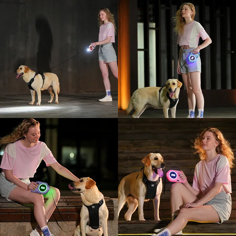5M Automatic Retractable Dog Leash LED Luminous Leading Light Straps For Small Medium Dog Pet Flexi Walking Running Leashes — image 6