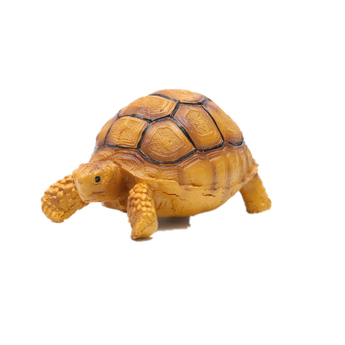 Ornamentos de resina para tortugas brasileñas — imagen 1