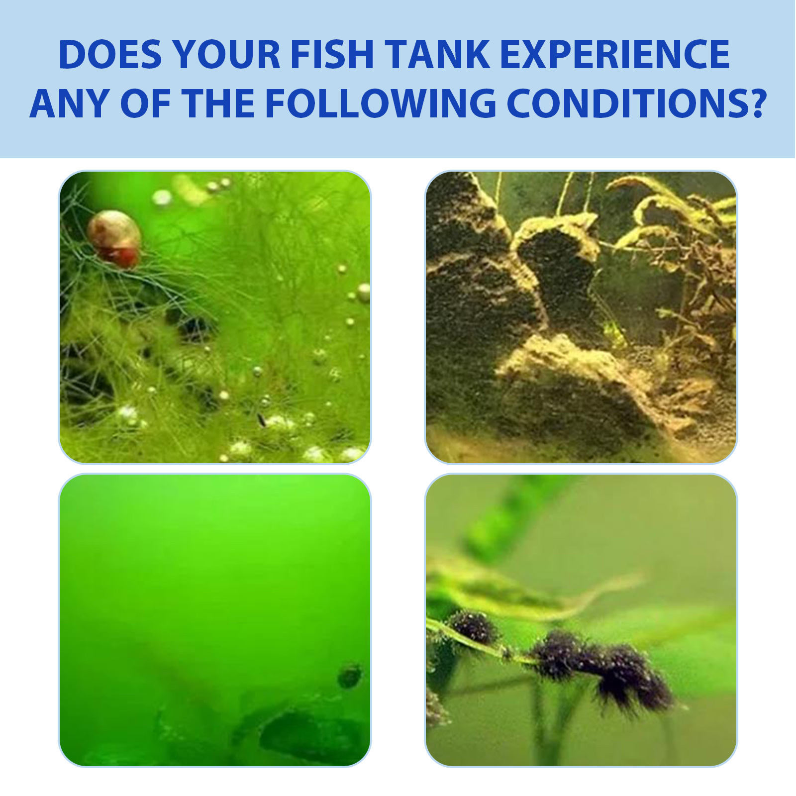 Purificador de Agua para Acuario Elimina Algas y Descomposición - Poder Instantáneo de Claridad — imagen 4