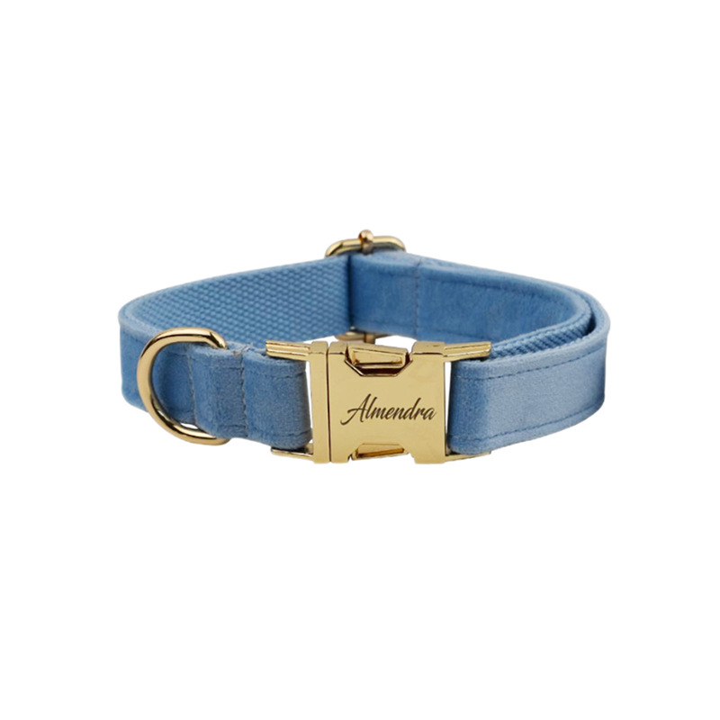 Collar de perro Velvet Collection con grabado personalizado — imagen 19