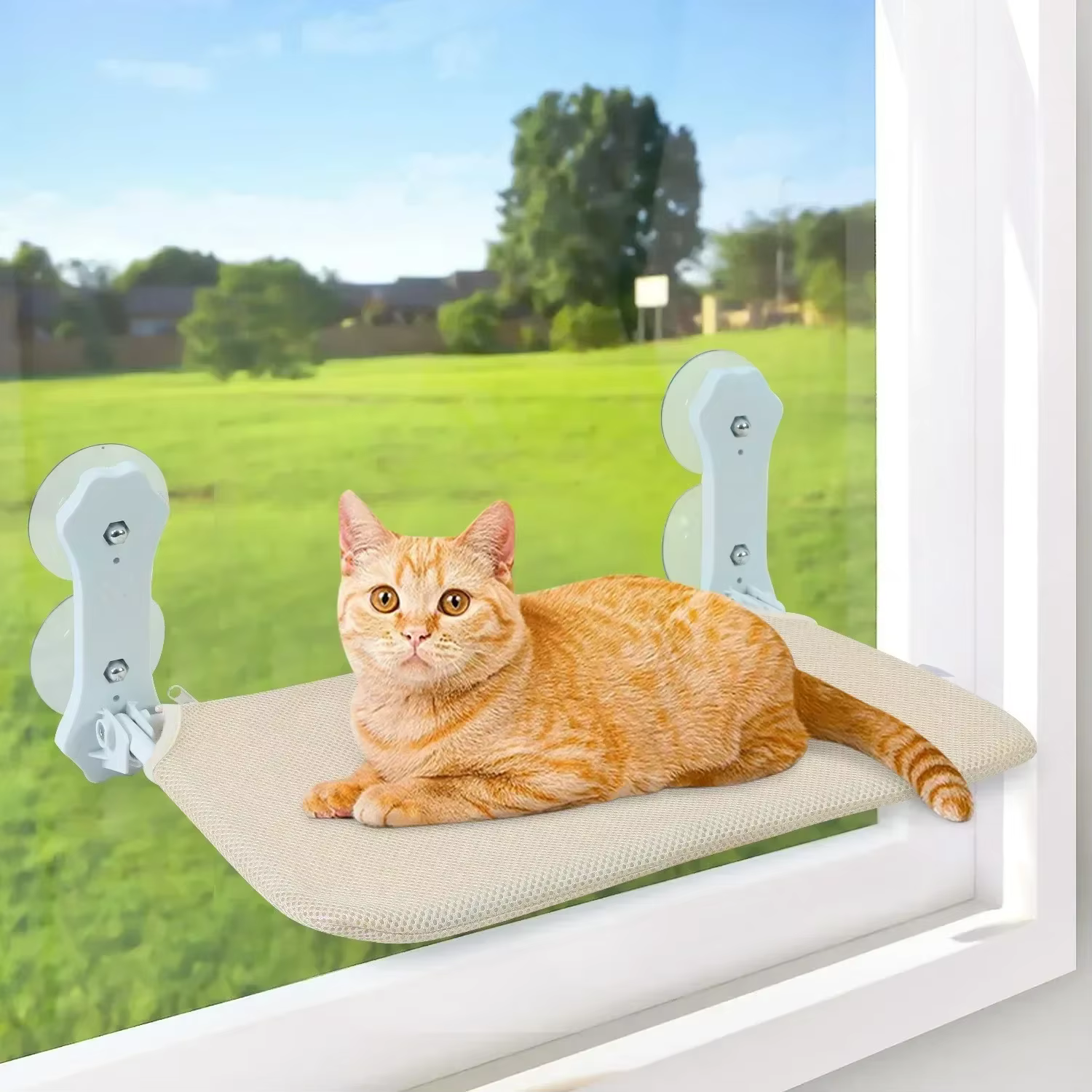 Nuevo Hamaca para Gatos con Ventosa, Hamaca Plegable, Nido Suspendido, Cama para Gato, Balcón, Ventana, Vidrio, Muebles y Camas para Mascotas — imagen 3