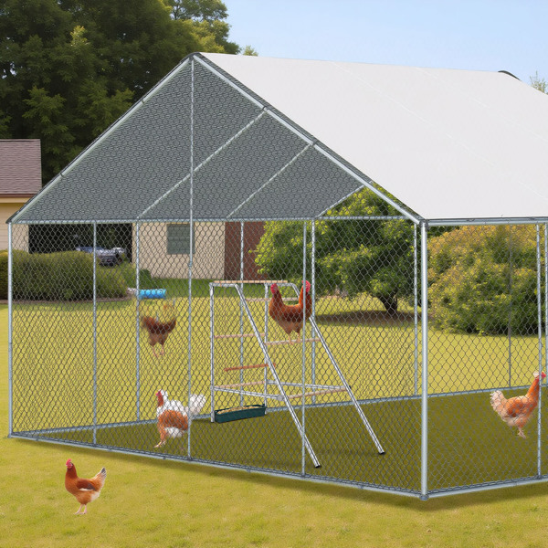Percha para Gallinas al Aire Libre — imagen 11