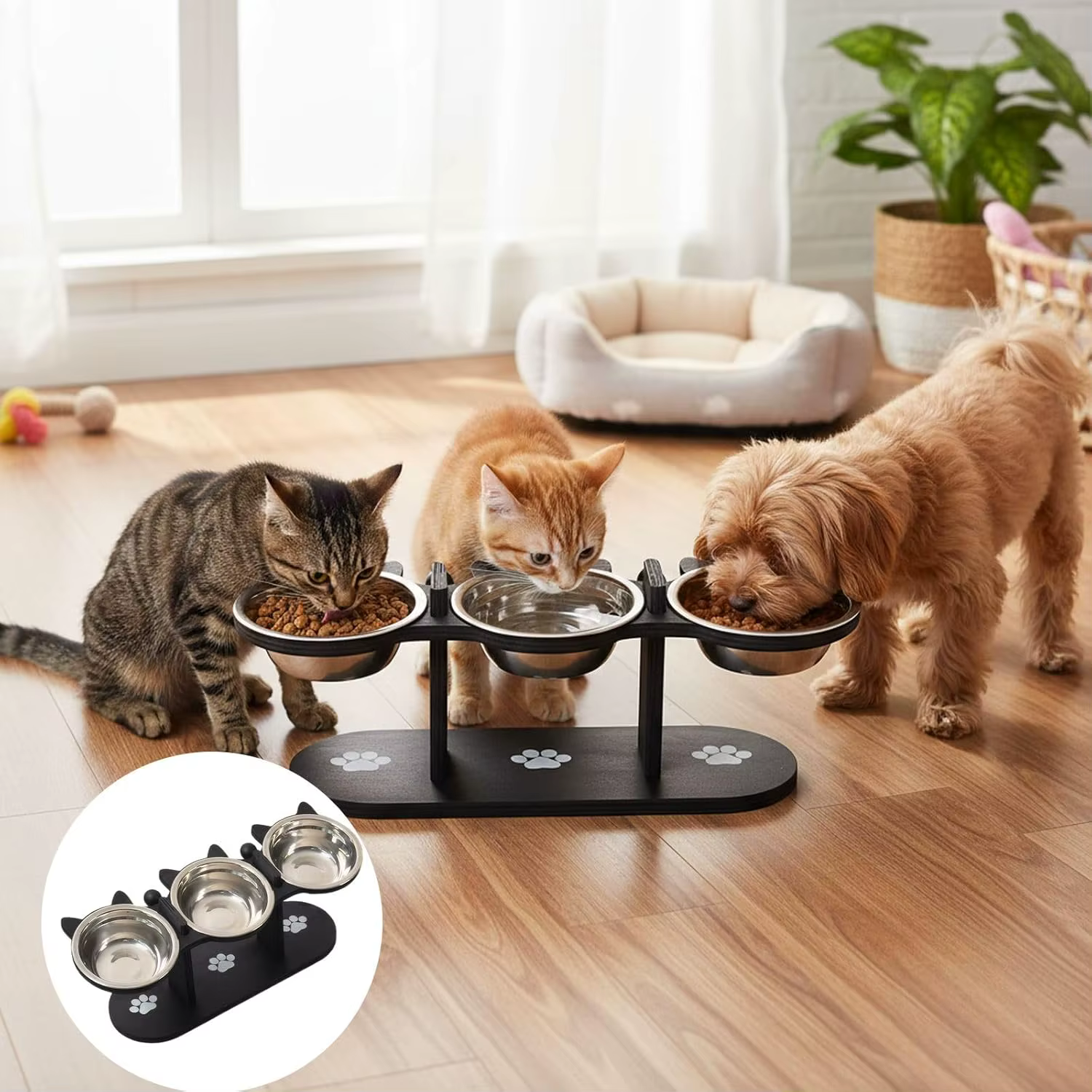 Elevated Cat Food Bowl with Black Wooden Support Frame Stainless Steel Cats Bowls 15° Stand Sloped Feeding & Watering Supplies — image 6