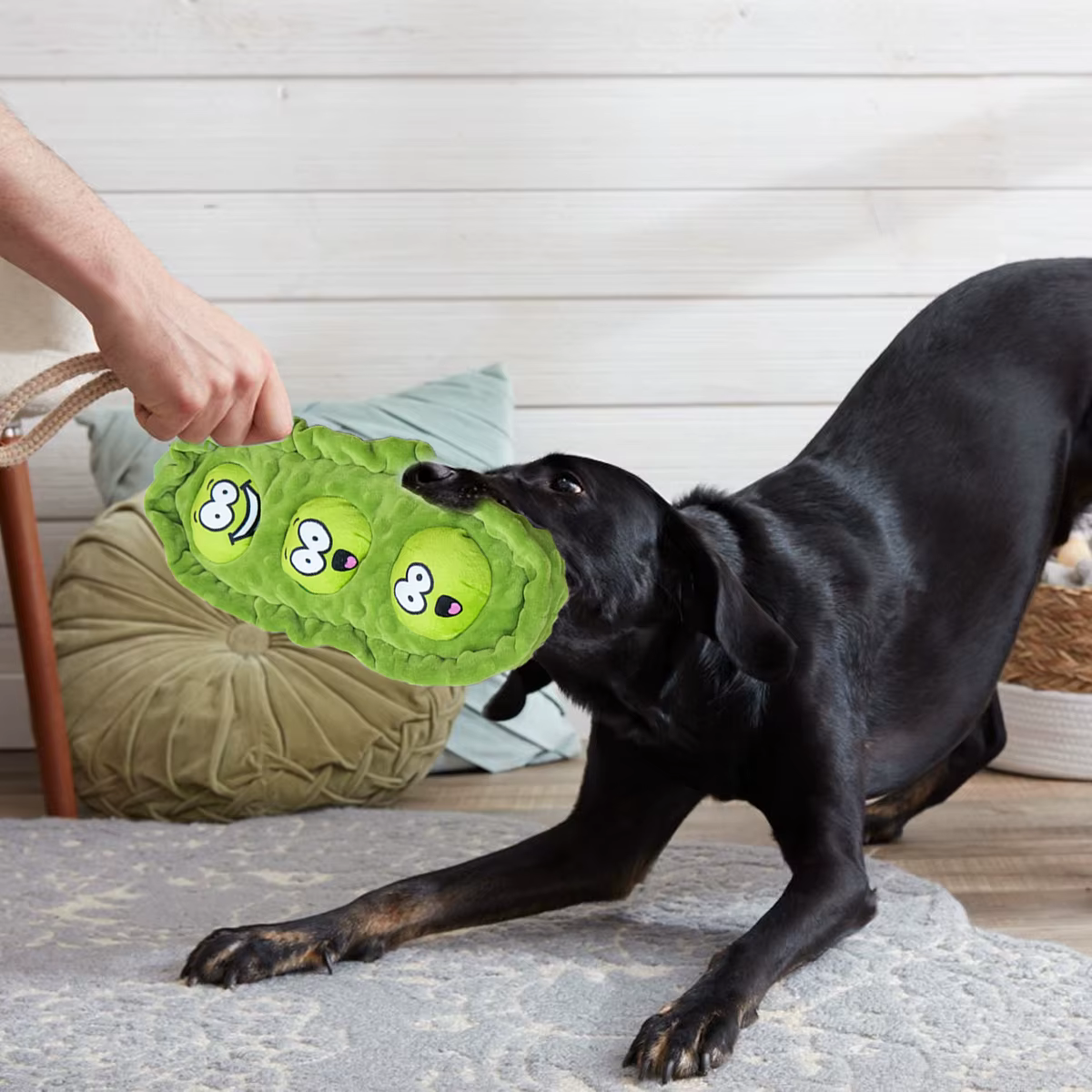 Pet Dog Snack Hiding Toys Relieve Boredom Interactive Doll Pea Pods Sets Throwing Chasing Plush Toy Slow Food Smelling Pet Ball — image 1
