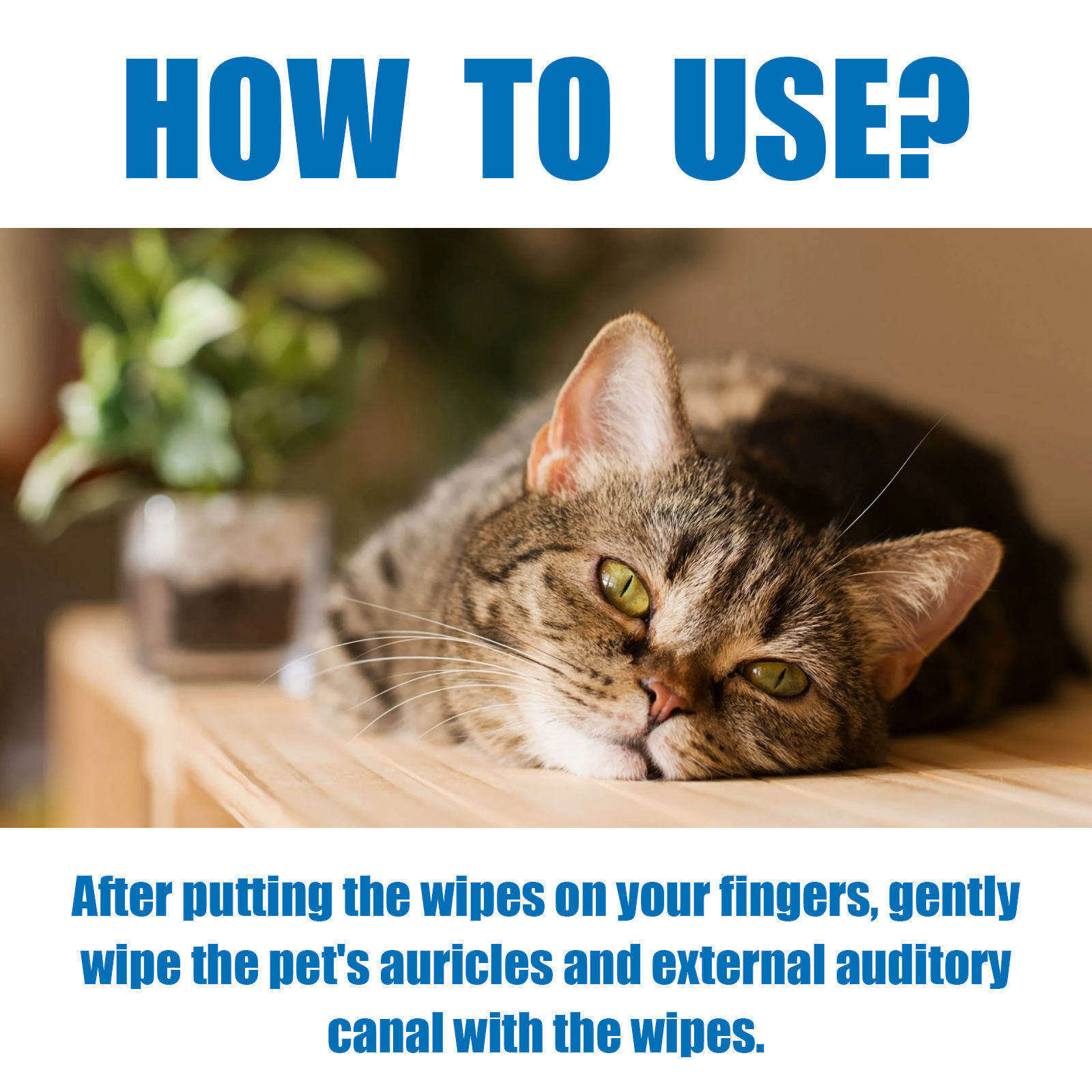 Pet Finger Wipes, Ear Care Finger Cover Ear Wax Ear Mite Cleaning Care — image 8