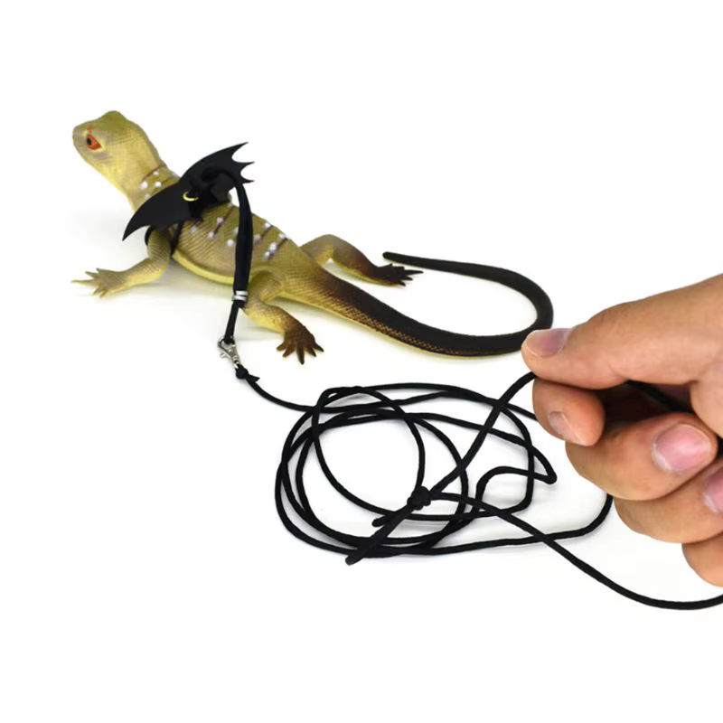 Pet Lguana Adjustable Wing Style Harness Climbing Rope Belt Small Lizard Reptile Animal Imitation Leather Traction Leash — image 1