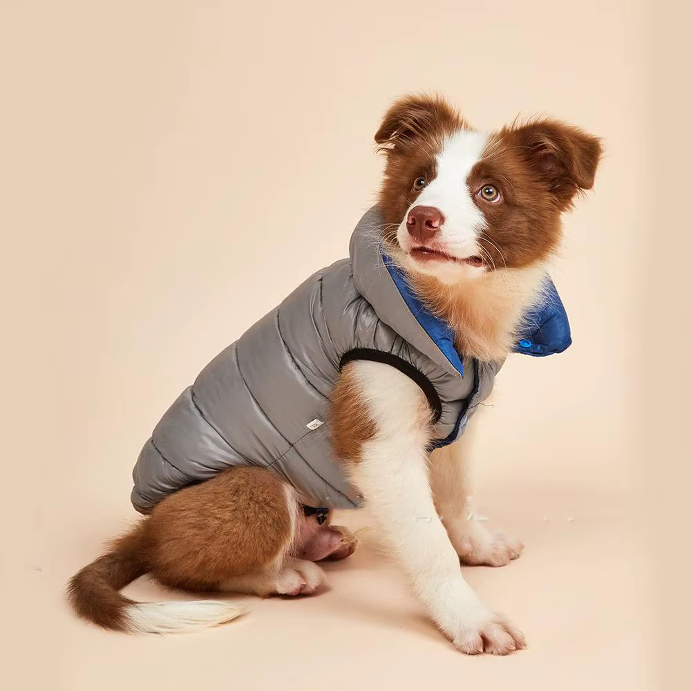 Ropa Nueva para Perros, Otoño e Invierno — imagen 5