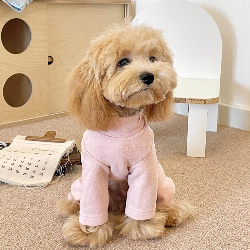 Elastic Pet Onesie, Four-Legged Pajamas for Small to Medium Dogs, Cream Color, Cozy Home Base Shirt, Warm Winter Dog Clothes — image 5