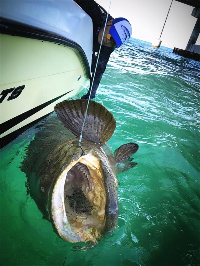 Set de 5 Piezas, Señuelo Duro Tipo Lápiz de Superficie con Cola Giratoria 13g 10cm, para Róbalo y Trucha en Agua Dulce y Salada — imagen 2