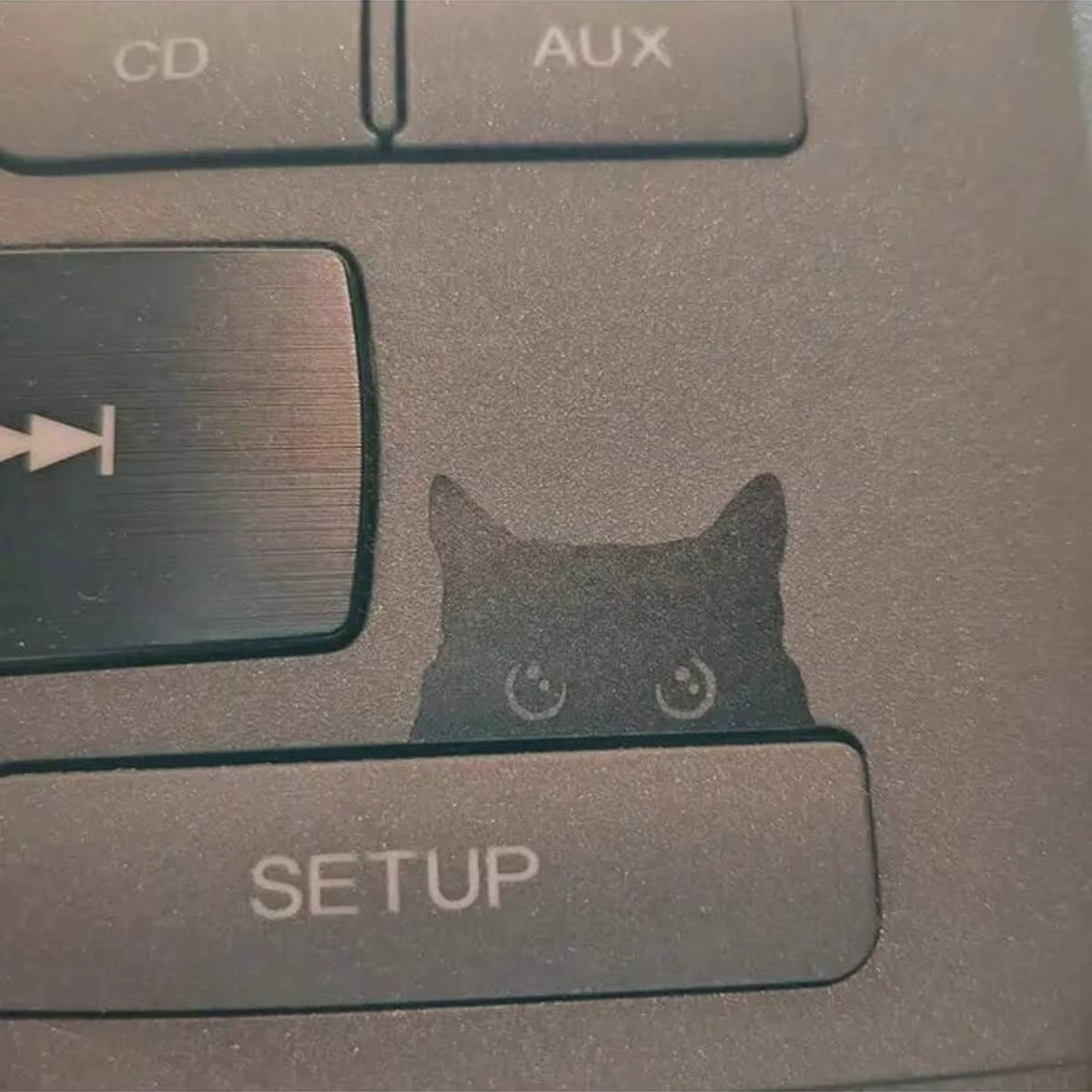 Decal de Gato Mirando: Adhesivo para Vehículos, Computadoras y Muebles — imagen 6