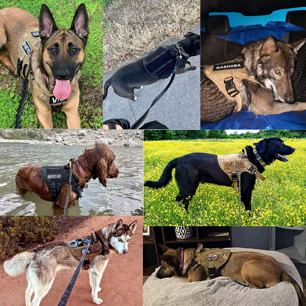 Large Dog Harness Pet German Shepherd Malinois Training Vest Military Tactical Medium Dog Harnesses Hunting For Dogs Accessories — image 6
