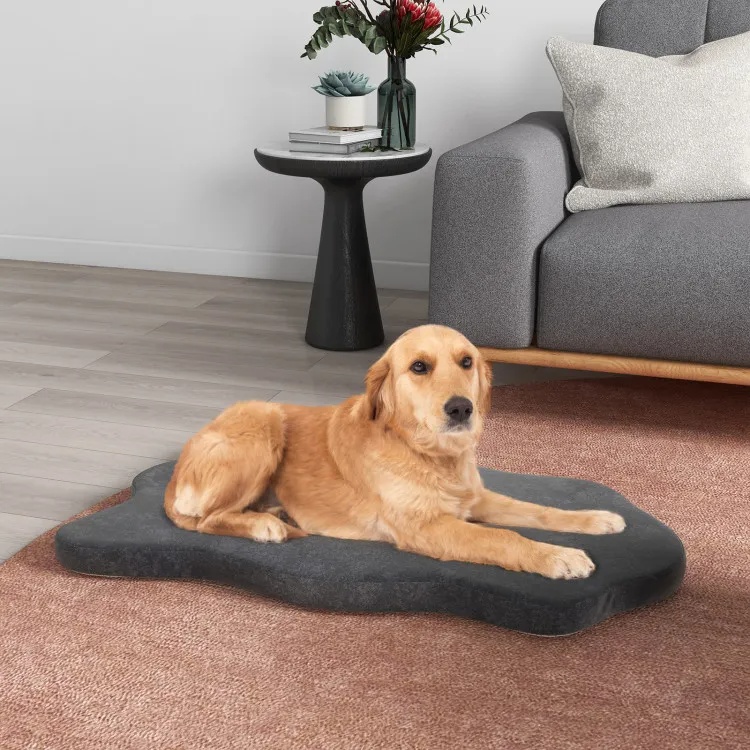 Camilla para Perros con Soporte de Espuma de Memoria para Grandes Razas — imagen 6