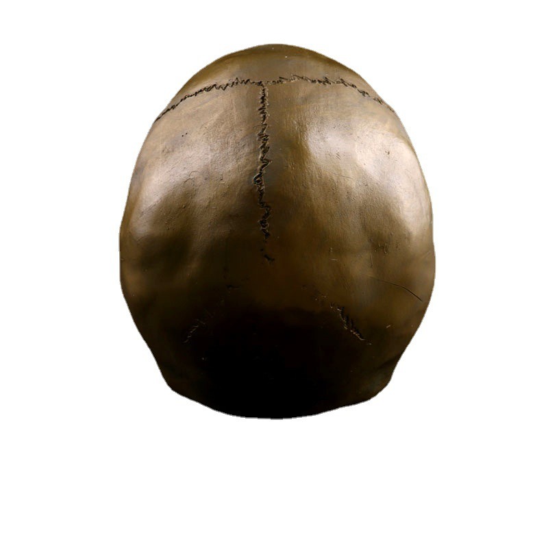 Resin Skeleton Home Decoration Antique Bronze Animal Skull — image 3