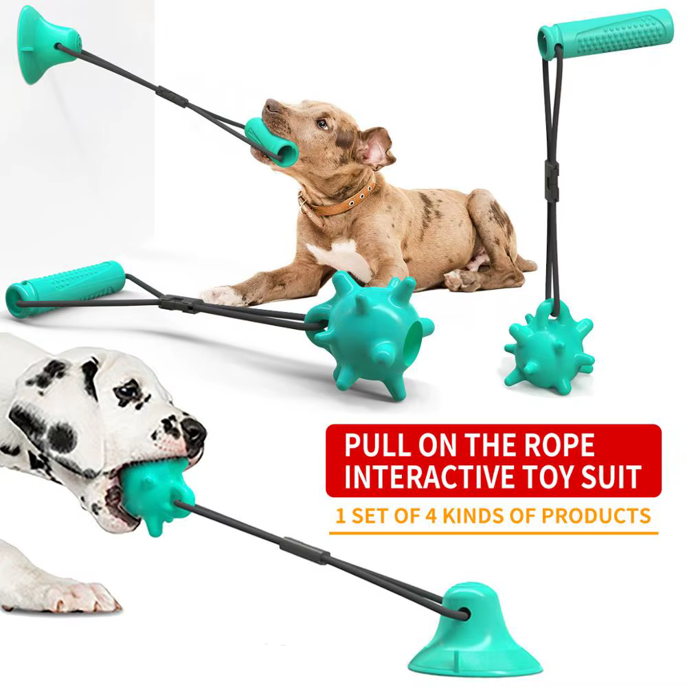 Pet supplies new product sucker dogs toy molar bite resistant club buy 1 top 4 sets — image 1