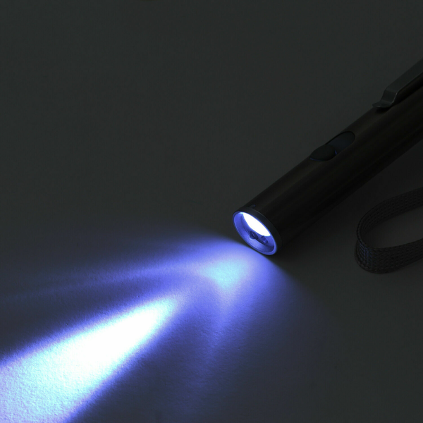 2PCS 3 in1 1mw USB Rechargeable Pet Toy Pen Flashlight Red laser Beam UV Light 3-Modes Lamp — image 10