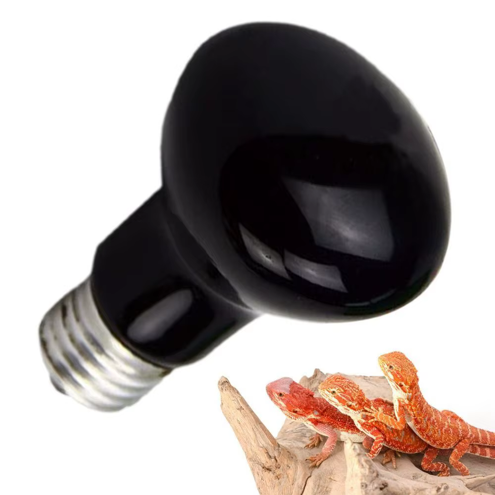 Night Light UVA Led Pet Heating Lamp Adjustable 4 Kinds UVA Day Night Bulb 220-230V Infrared Reptile Heat Bulb Snake — image 3
