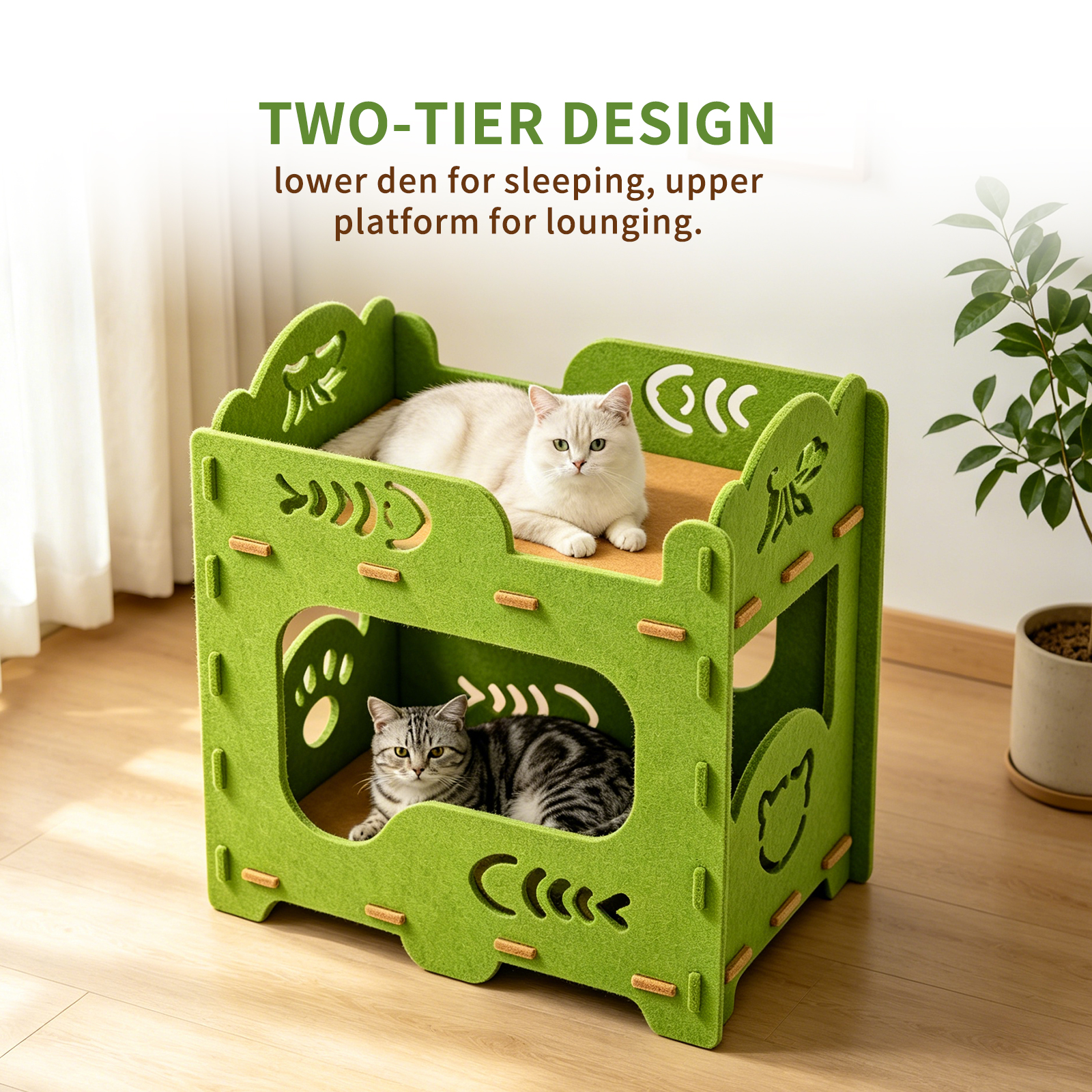 Solo Recogida en Tienda - Camita para Dos Gatos — imagen 5