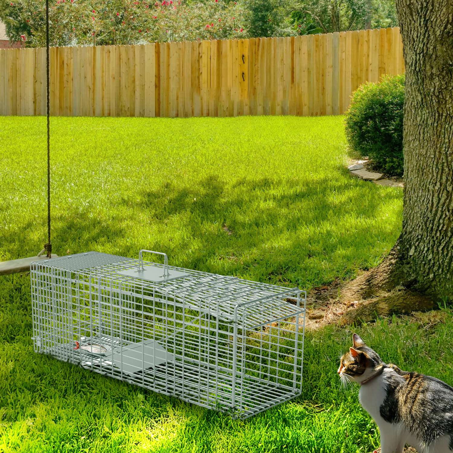 Humane Cat Trap Cage With Gloves Catch Release Live Animal Rodent Cage Collapsible Galvanized Wire For Raccoons Beavers Groundhogs Foxes Armadillos — imagen 1