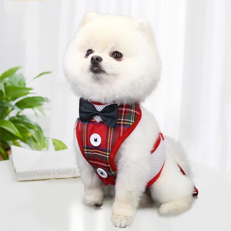 Vestido de Cuerda para Perros Tipo Teddy con Correa y Cinturón de Pecho para Canes de Tamaño Pequeño a Mediano — imagen 1