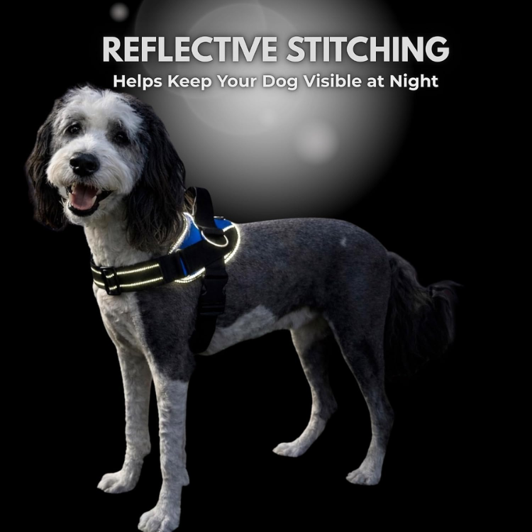 ShawnCo Essential Dog Harness, No-Pull Pet Vest Oceanic Blue, S — image 2