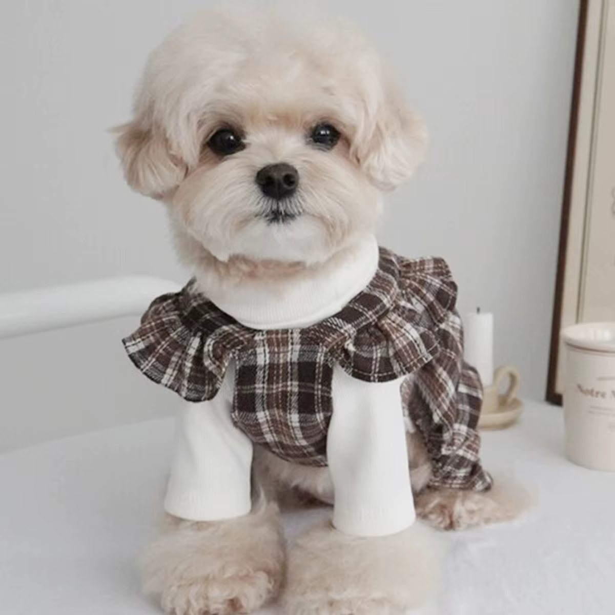 Pet Clothes Dog Dresses Princess Retro Plaid Bow Skirt Teddy Bichon Small Medium Dog Clothes Fashion Trend Decorative Clothing — image 2