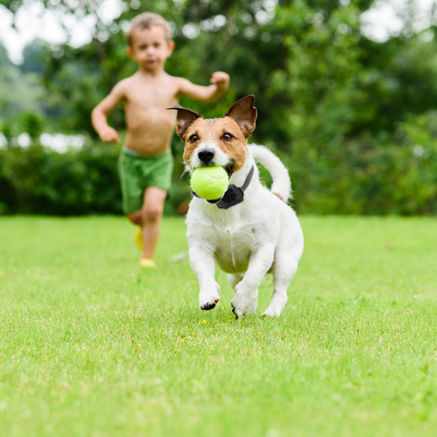 1 Juego de Cerca Eléctrica Inalámbrica para Perros Sistema de Contención Perimetral con Descarga, Collar de Entrenamiento Eléctrico para Perros Pequeños, Medianos y Grandes — imagen 9