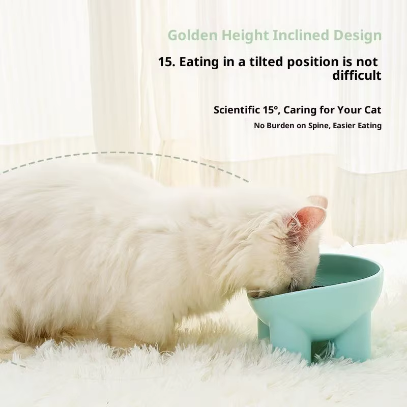 Elevated Cat Bowl With Stand - Durable Plastic Pet Food & Water Dish, Sleek Modern Neck-Friendly Feeding For Cats & Dogs — image 4