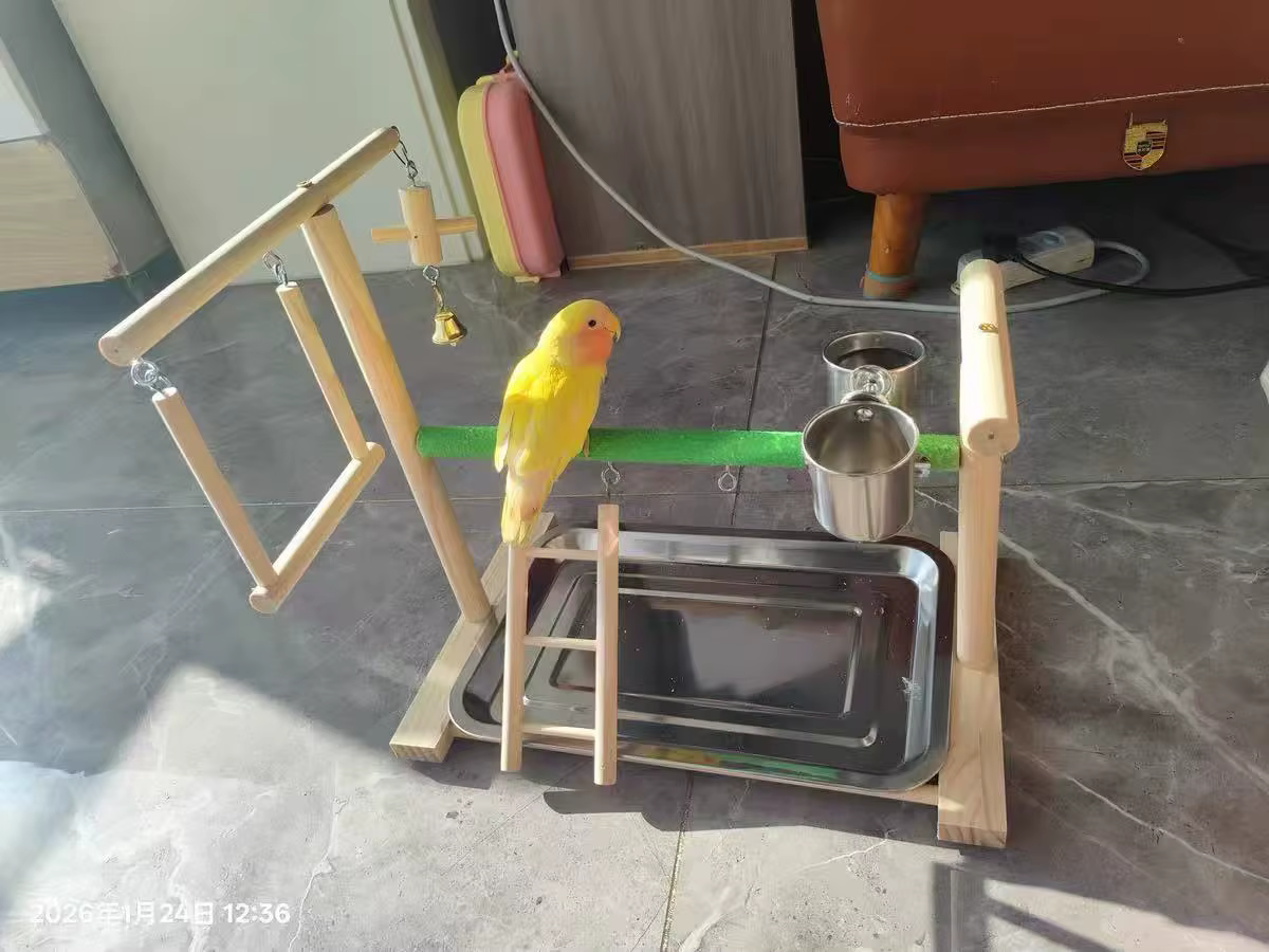 Solid Wood Parrot Playstand, All-in-One Bird Play Gym with Perch, Ladder & Swing, Wooden Playground for Small & Medium Pet Birds — image 3