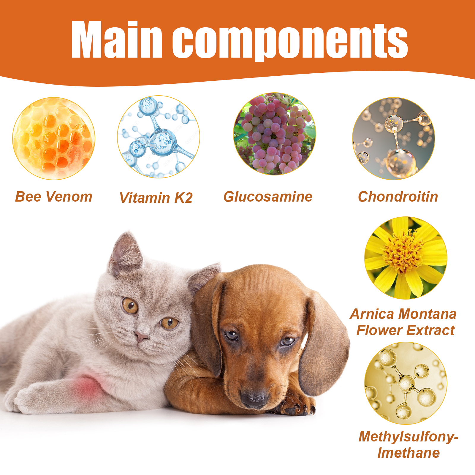Pet Bee Venom Oil, Joint Care For Cats And Dogs Relieves Joint Pain For Pets Pet Care Water — image 7