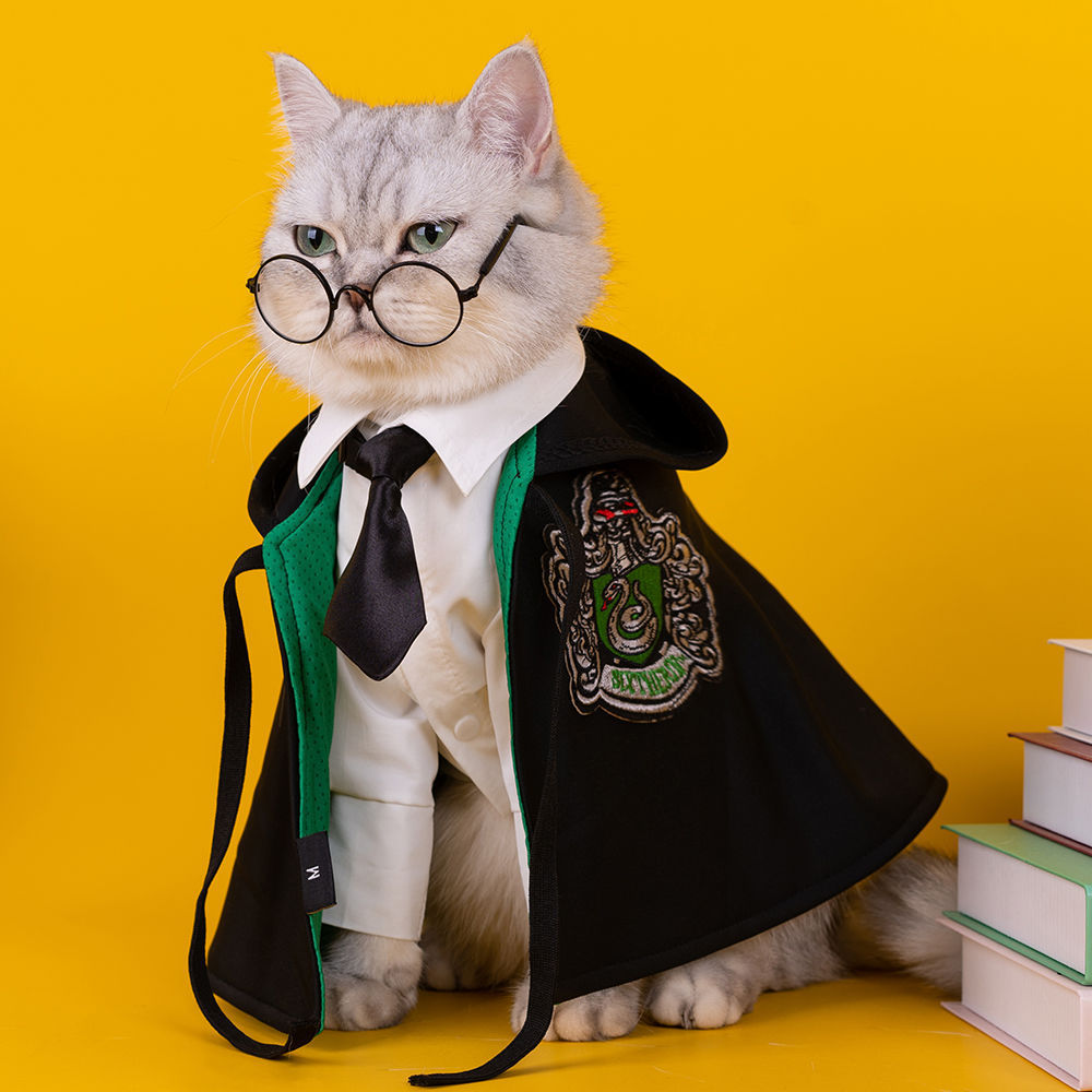 Pet Cloak Embroidered Cloak Cat Shaped Up Costume Harry Potter Wizardry Academy Style Teddy Bears Dog Clothes — image 4