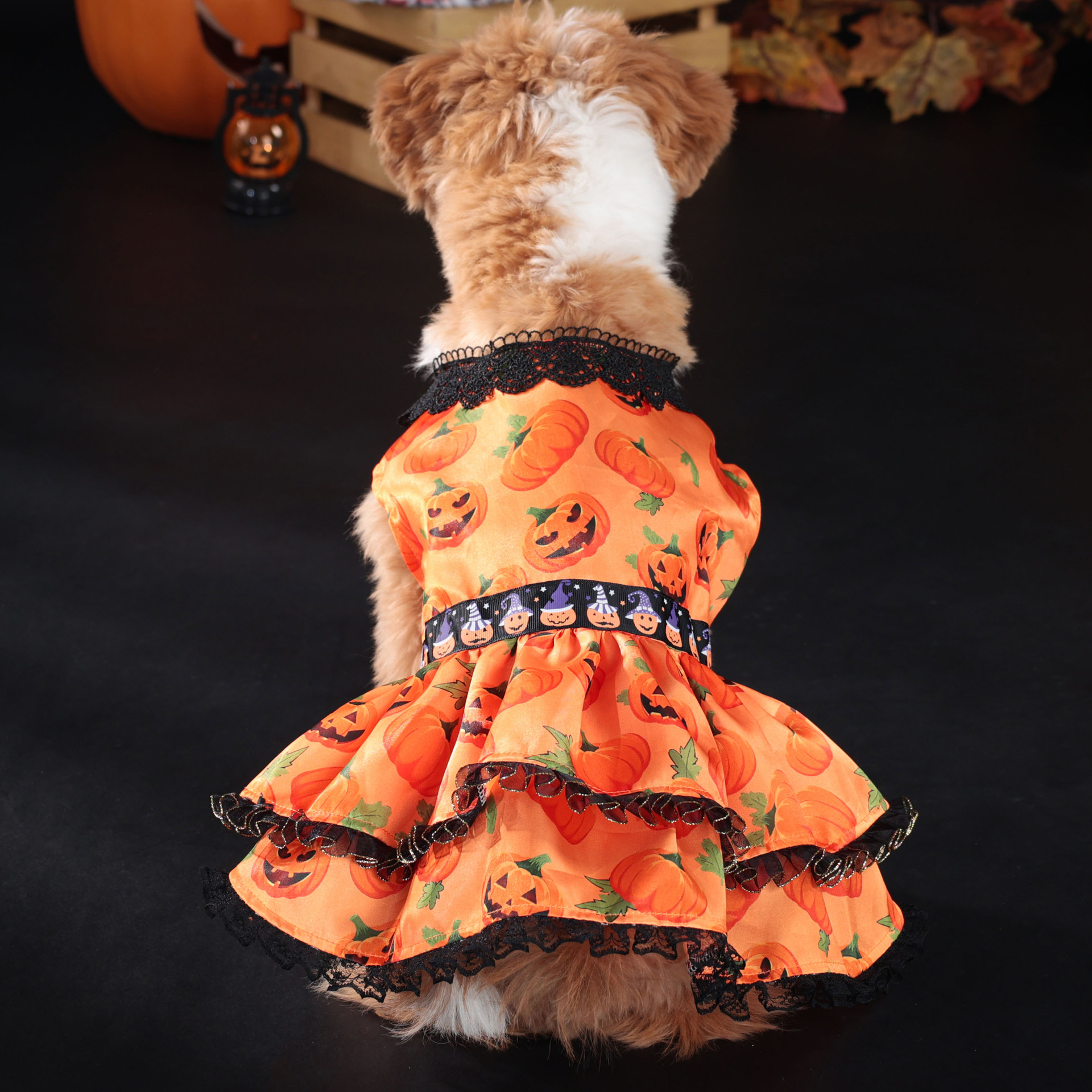 Halloween Pet Dog Dress for Medium and Small Dogs, Pumpkin Lace Skirt Factory — image 3