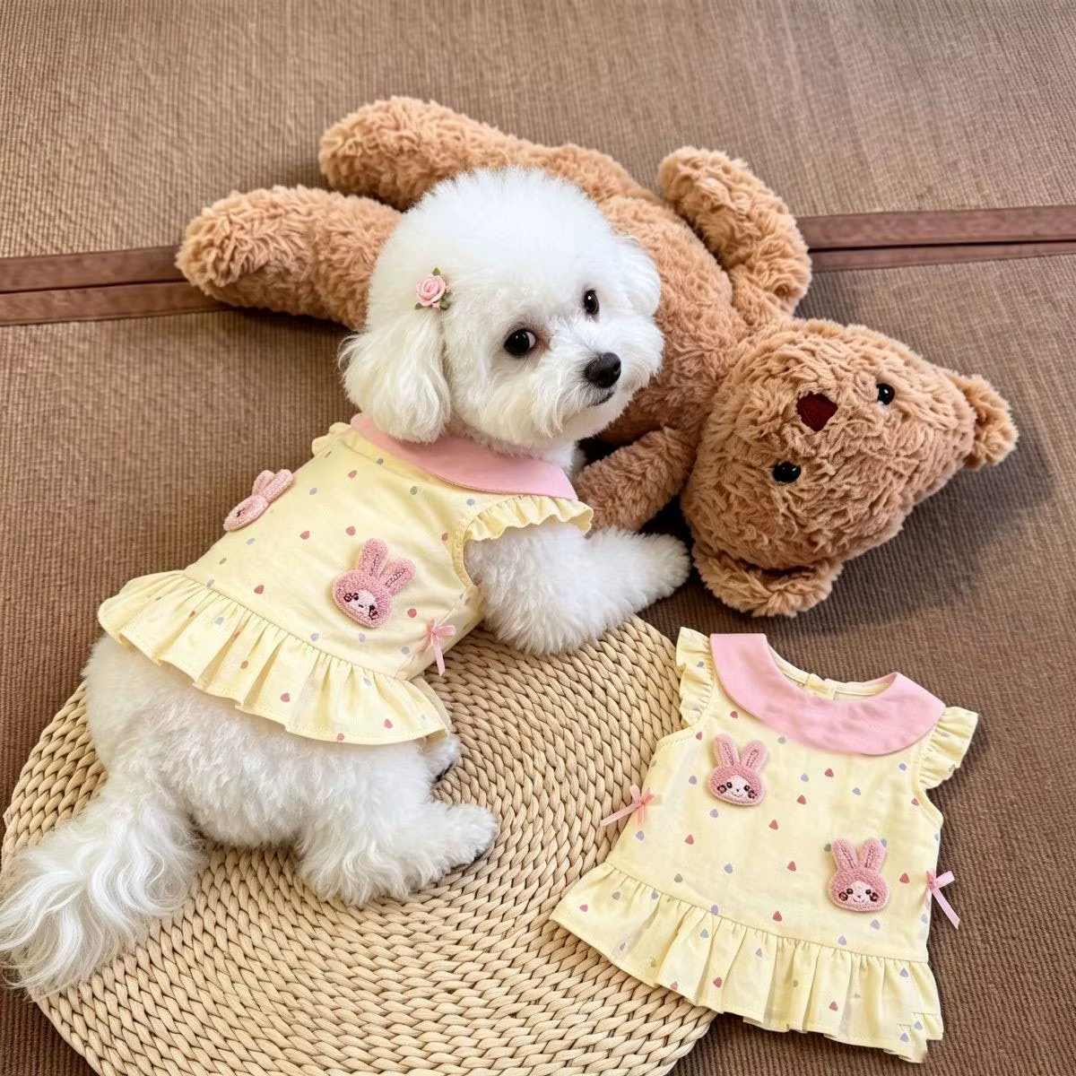 Productos para Mascotas: Vestidos de Primavera y Otoño, Camiseta Floral con Conejo, Falda, Ropa para el Hogar, Ropa Adorable para Perritos, Accesorios para Perros — imagen 5