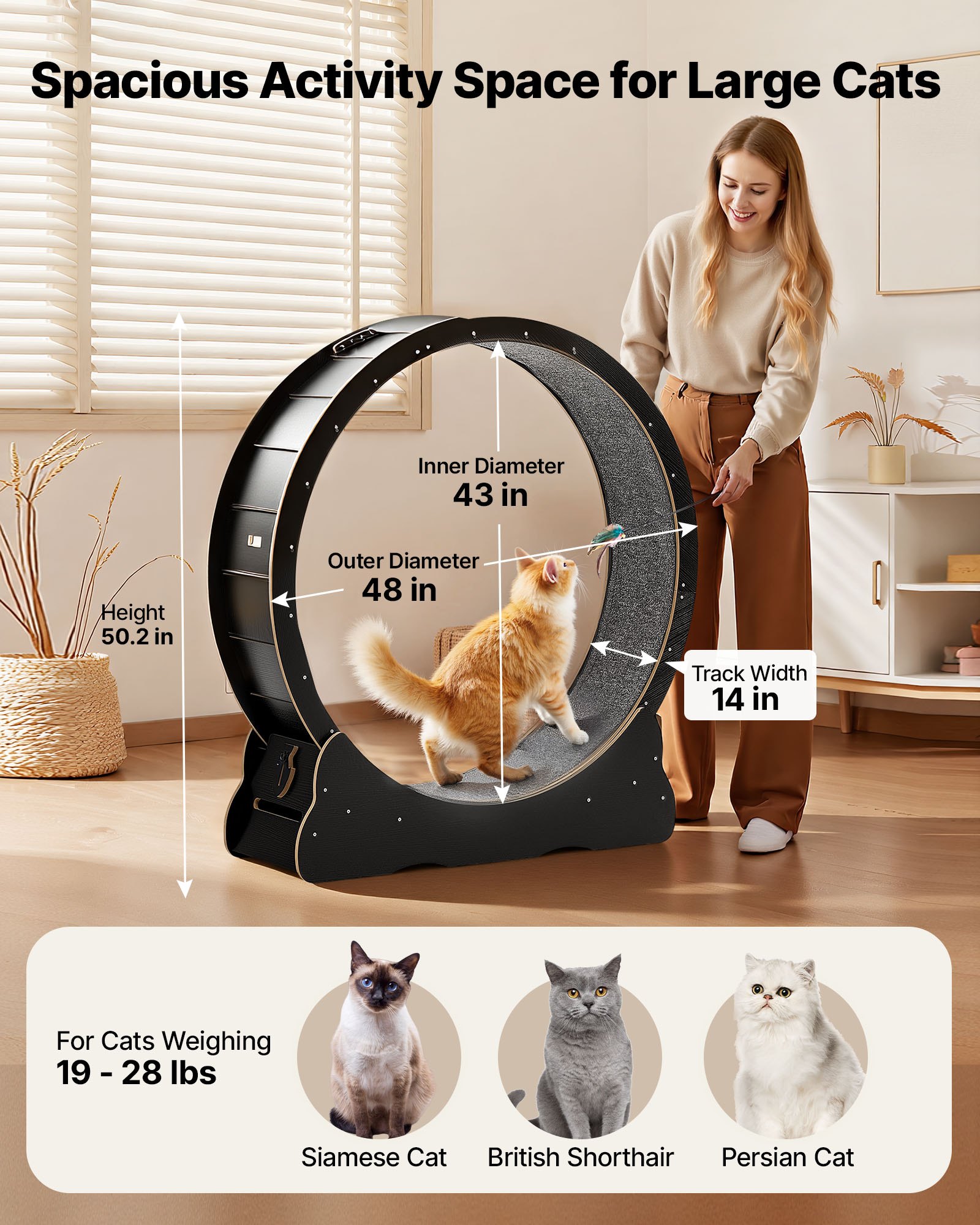 Cat Exercise Wheel, 48 In Wooden Cat Running Wheel For Indoor Cats Up To 28 Lbs, Cats Treadmill With Carpeted Runway & Locking Mechanism, Quiet Kitten Sport Toys For Pets Fitness & Health, Black — image 2