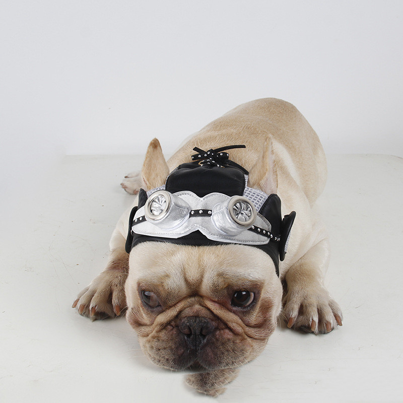 Disfraz de Fiesta para Mascotas — imagen 5