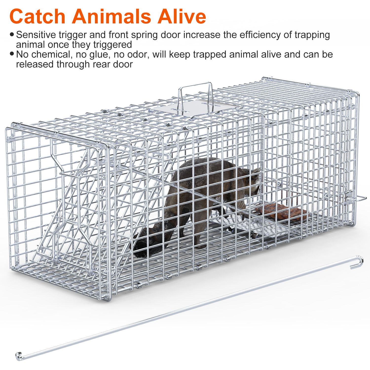 Caja de Trampa para Animales Vivos 37x14x15 pulgadas Plegable Captura y Liberación Humana para Zorros, Ratas, Perros Sueltos, Armadillos, Ardillas y Mapaches — imagen 11