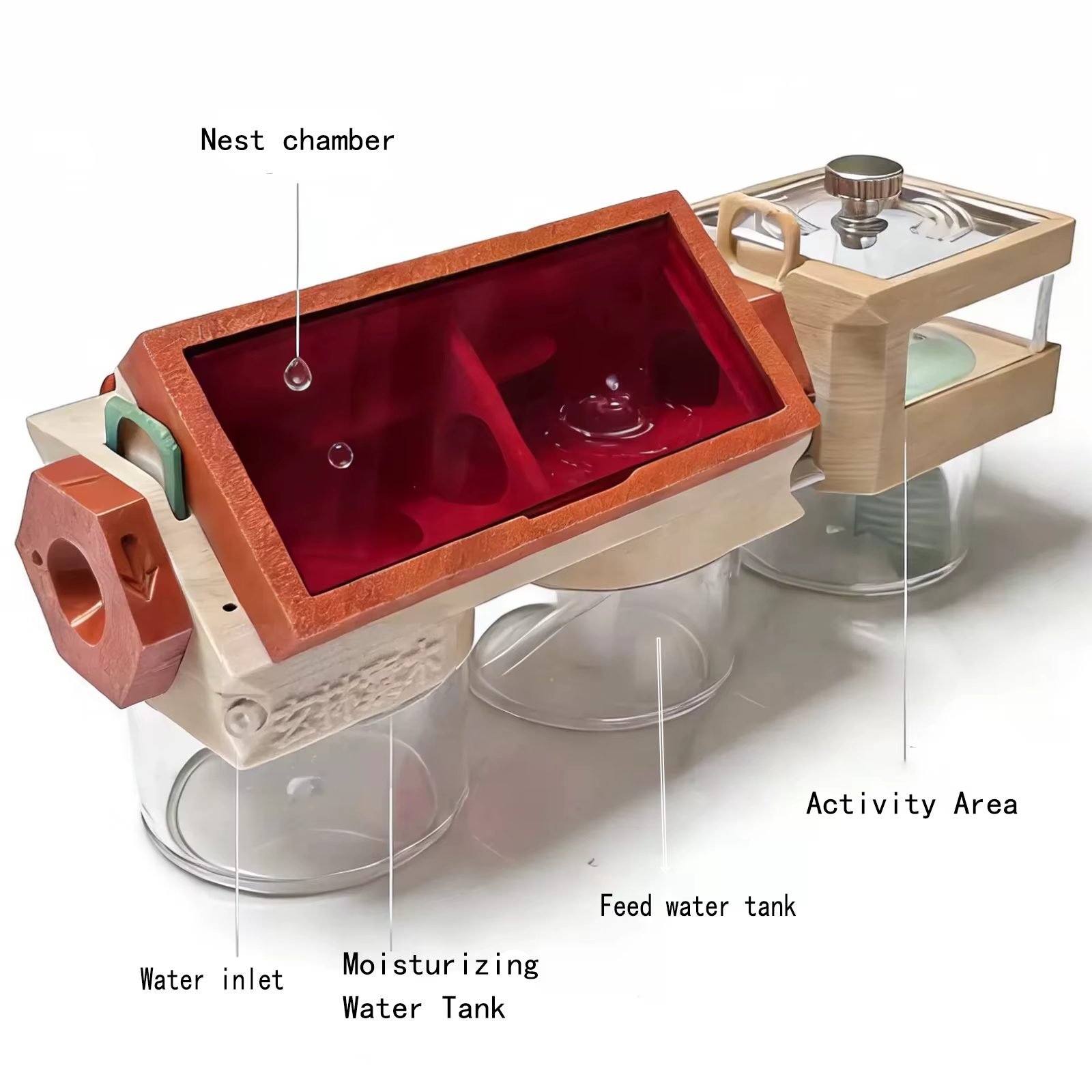 3D Ant Farm with Water Tower Queen Ant Breeding Insect House Small Ant Nest Beginner Pet House Accessories — image 3